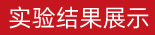 實驗結(jié)果展示 實驗結(jié)果展示